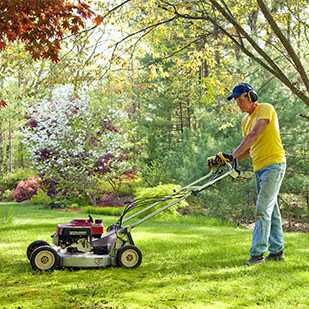garden maintenance services thumb
