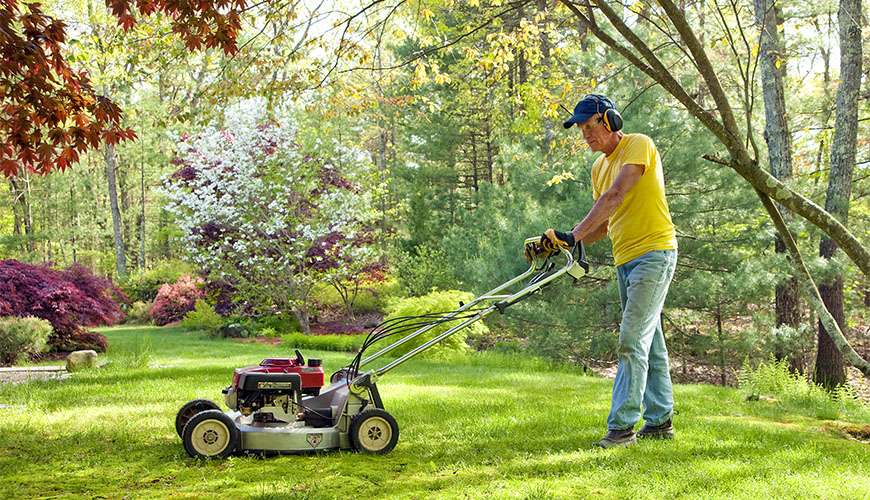 garden maintenance services in kent and london